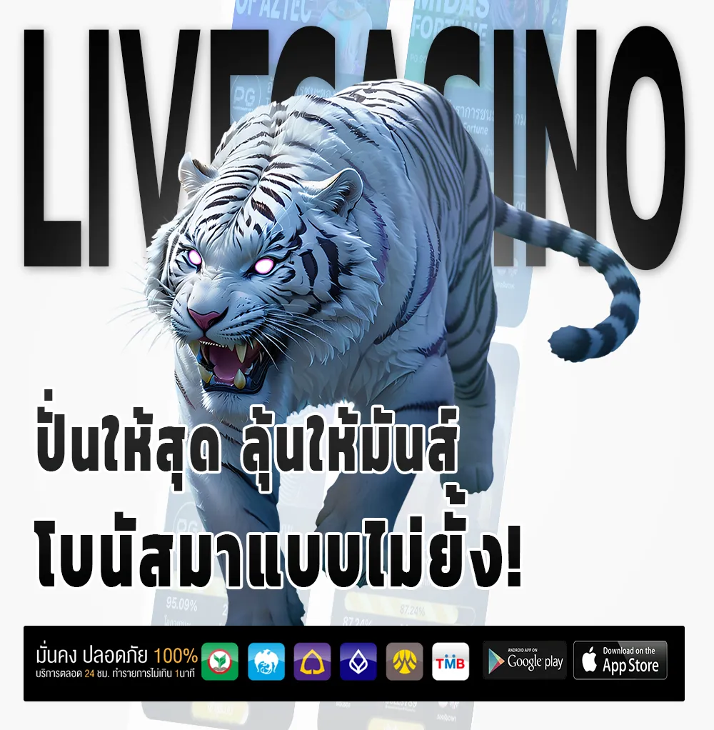 zero88 แตกหนัก